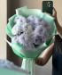 5 черничных кустовых хризантем Алтай №2947