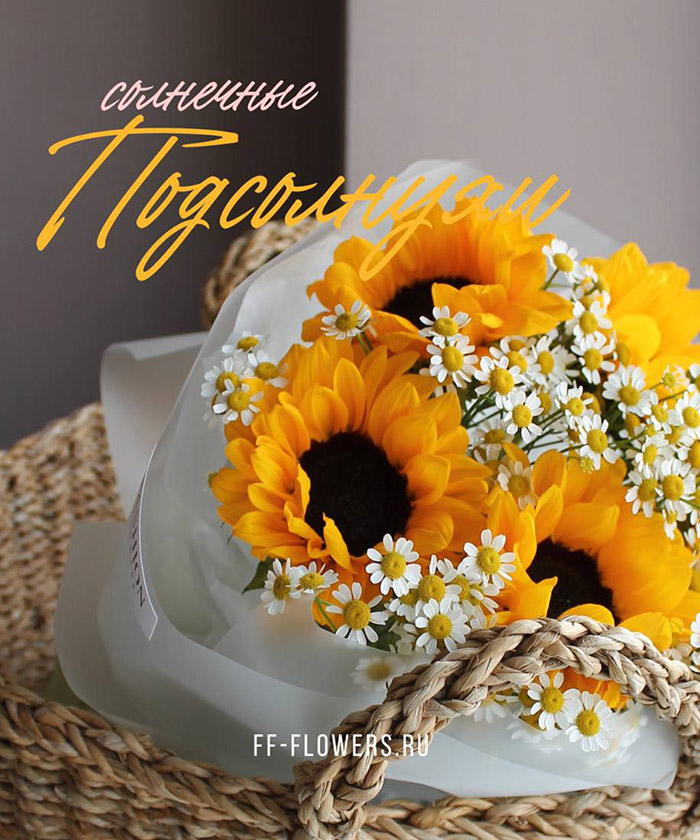 5 солнечных подсолнухов Санрич и ромашки танацетум №4357
