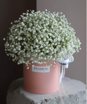 Белая гипсофила в шляпной коробке "Аврора" №6478