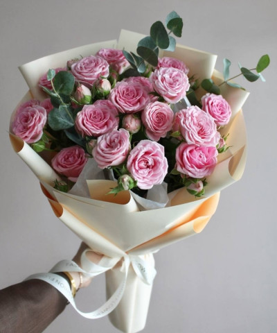 3 розовые кустовые розы Мадам Софи №5263