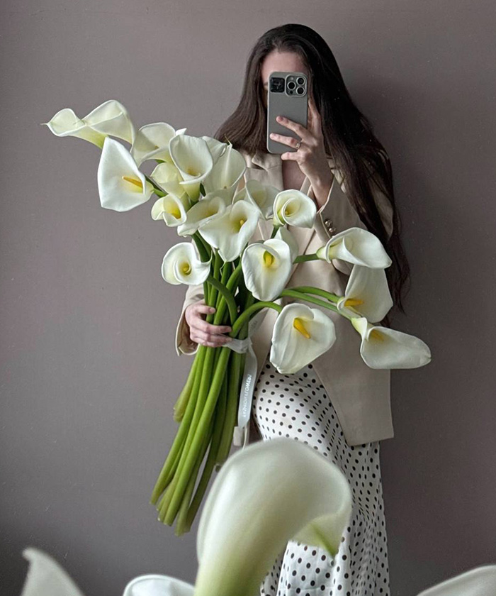 Каллы королевские белые Де ла пайкс, поштучно
