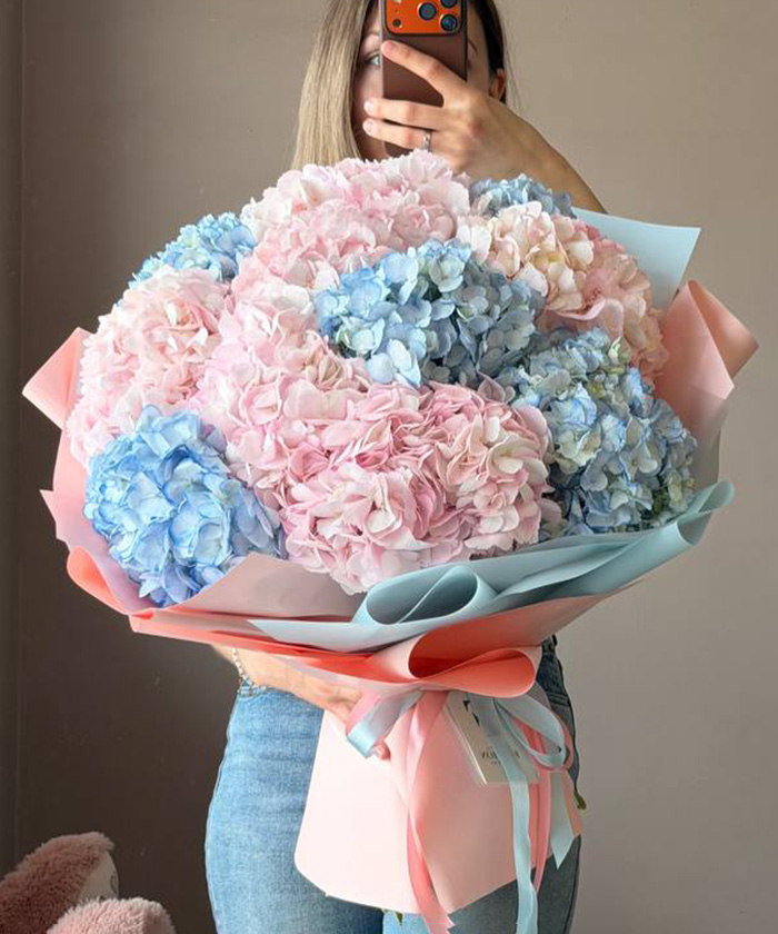 15 розово-голубых гортензий Колумбия №3476