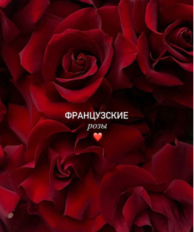 Французские красные розы, поштучно
