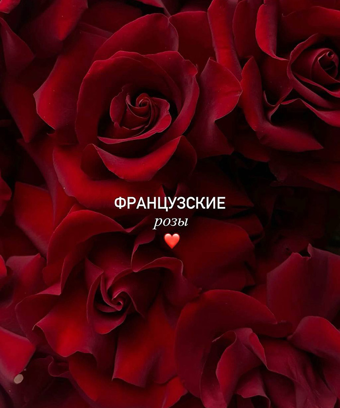 11 французских красных роз Эксплорер №5936